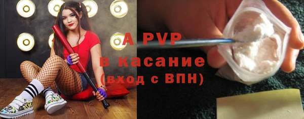 мяу мяу мука Осташков