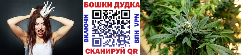 Бошки Шишки Ganja  Боровск 